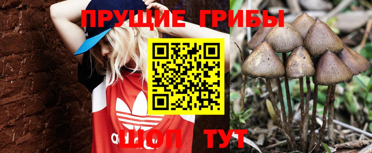 Галлюциногенные грибы GOLDEN TEACHER Ржев