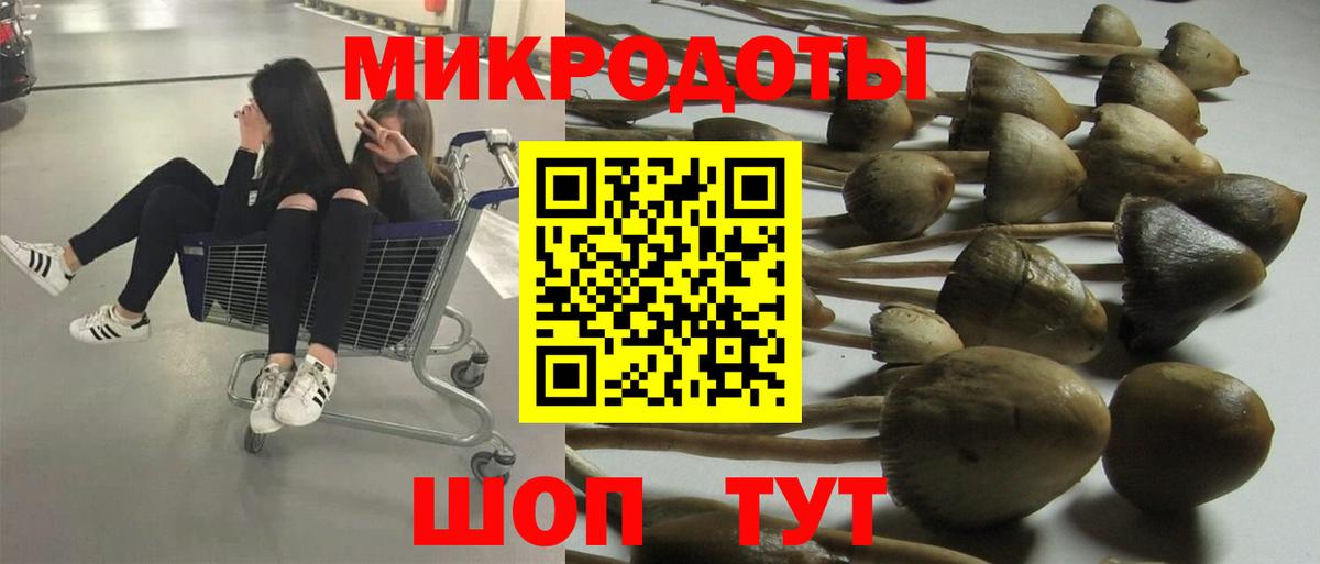 Галлюциногенные грибы Psilocybe  купить наркоту  Ржев  Вход с VPN 